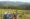 A group of hikers with rucksacks walk along a dirt path through a grassy field, preparing for the Coast to Coast Walk in Britain, with trees and hills in the background under a clear sky.
