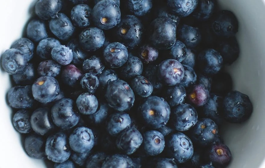 A close-up view of a bowl filled with fresh blueberries, which are known as effective sources of antioxidants.