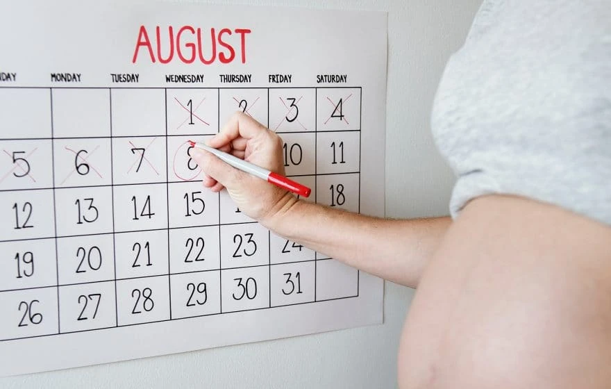 A pregnant person marks a day in early August on a calendar with a red pen, planning ahead for important antenatal nutrition milestones.