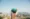 A person holds a small globe in their hand with a blurred landscape of mountains and sky in the background, symbolising the global rise of wellness trends like IV Vitamin Therapy.