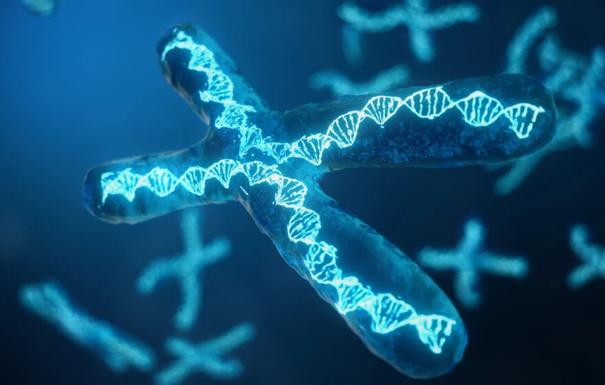 A digital illustration of a chromosome with a highlighted DNA double helix structure, set against a blue background with additional chromosomes in the distance, emphasises the role of telomere testing in understanding health.