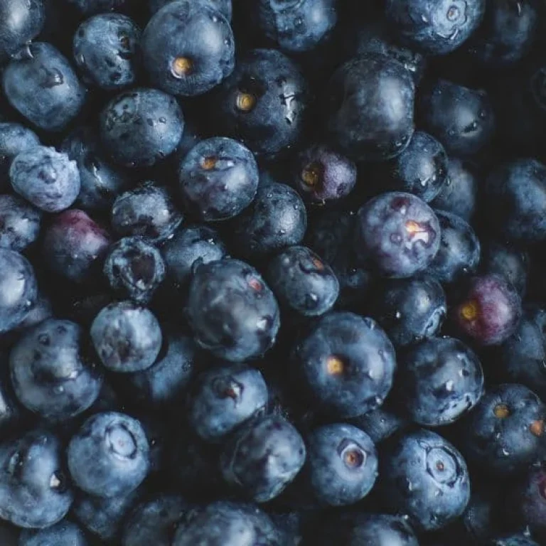 A close-up view of a bowl filled with fresh blueberries, which are known as effective sources of antioxidants.