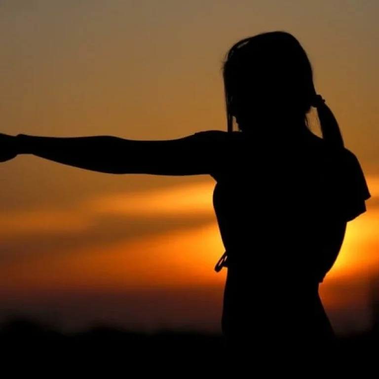 Silhouette of a person with one arm extended in a fist, standing outdoors at sunset, embracing the power of nature.