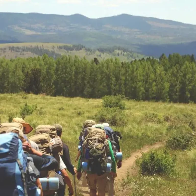 A group of hikers with rucksacks walk along a dirt path through a grassy field, preparing for the Coast to Coast Walk in Britain, with trees and hills in the background under a clear sky.