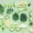 The 20 Best Anti-Inflammatory Foods to Incorporate into Your Diet