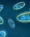 Digital illustration showing several single-celled microorganisms, likely paramecia, floating in a blue liquid environment—evoking themes of parasite cleansing and ways to reclaim your health.