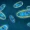 The-Ultimate-Guide-to-Parasite-Cleansing-and-Gut-Reset