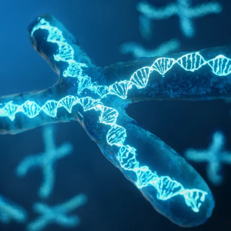 A digital illustration of a chromosome with a highlighted DNA double helix structure, set against a blue background with additional chromosomes in the distance, emphasises the role of telomere testing in understanding health.