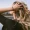 Why your New Year’s Resolution might be ruining your hair